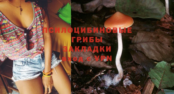 таблы Аркадак