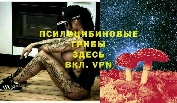 бутират Алзамай