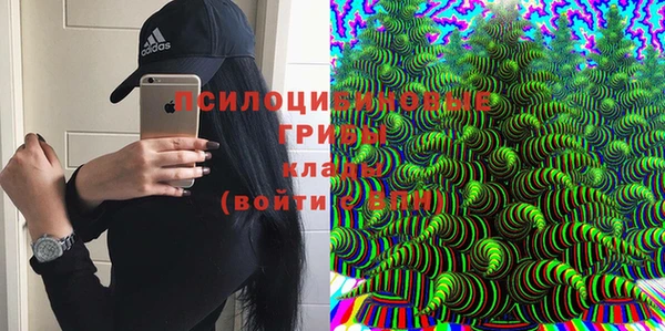 ГАЛЛЮЦИНОГЕННЫЕ ГРИБЫ Арсеньев
