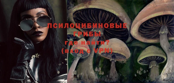 бутират Алзамай