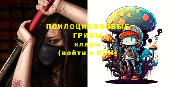 ГАЛЛЮЦИНОГЕННЫЕ ГРИБЫ Арсеньев