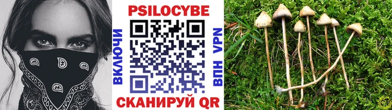 Галлюциногенные грибы GOLDEN TEACHER  даркнет сайт  Аткарск 